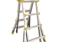 Telestar telescopic ladder