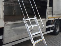 Truck access ladder