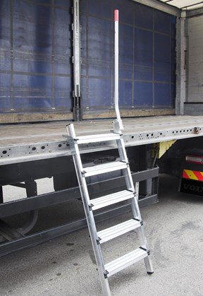 Truck access ladder