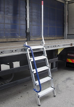 Truck access ladder