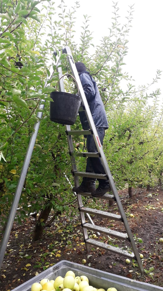 Escalera agrícola aluminio peldaño ancho Svelt Agrilujo Maxi